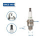 TORCH E6RC Bougie d'allumage Borne Solide Remplacer pour BR6HSA/ BR6HS Bougie d'allumage, pour 98076-5671G/ 98076-5691G Bougie d