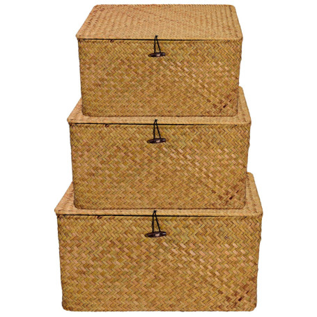 PINGEUI Lot de 3 paniers de rangement en jonc de mer avec couvercle et bouton, panier rectangulaire en jonc de mer pour vêtement