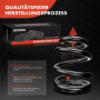 Frankberg 2x Ressorts de suspension Essieu Arrière Compatibles avec 307 2000-2014 C4 Coupé 2004-2011 C4 I 2004-2011 C4 II 2009-2