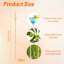 Zikenis 100 Pièces Brochettes Cocktail,Coktail en Bambou,12 cm cure-dents fantaisie pour charcuterie,sandwich,fruits,Batons de B