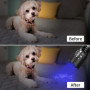 Morpilot Lampe de Poche 2 en 1, UV 395nm et Blanche 500LM Lampe Torche LED, 4 Modes, Zoom, Lampe Ultraviolet, Aluminium Anti-Chu