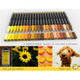 marqueur peinture acrylique Ensemble de 22 marqueurs assortis de la série Pro Color, pointe extra fine de 0,7 mm pour la peintur