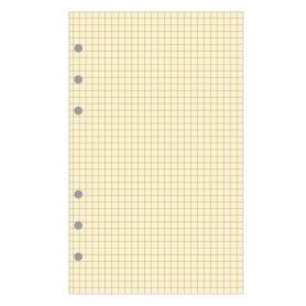 EXACOMPTA Recharge accessoire Exatime 17 bloc quadrillé chamois 40 feuillets 172x105 mm