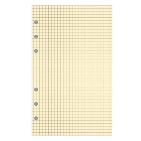 EXACOMPTA Recharge accessoire Exatime 17 bloc quadrillé chamois 40 feuillets 172x105 mm