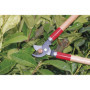 GREENGERS - Sécateurs et ciseaux de jardinage, Ébrancheurs de jardinage - Coupe branches avec lame à coupe franche manche bois 5