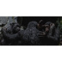 Planète des singes (La) : Suprématie - 1 DVD + DHD [DVD + Digital HD]
