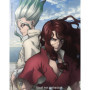 BLURAY DR. STONE - S