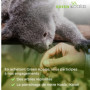Green Koalas X100 Perles Céramique EM Grises aux Micro-Organismes Efficaces Billes Purificateur Naturel pour Filtration Eau Robi
