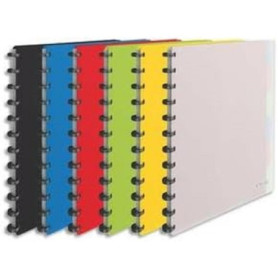 ESSELTE Protège-documents 25 pochettes amovibles 264 x 310 x 21 mm Couleurs assorties