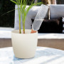 Relaxdays Arrosage en Terre Cuite, Lot de 8, Bouteilles Pet 1,5 L, intérieur (Chambre) et extérieur (Balcon), Marron