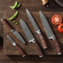 Wakoli Edib Set de 5 couteaux en Damas I Lames en acier damassé à 67 couches avec noyau VG10 et manches en bois de pakka I Coute
