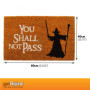 getDigital Paillasson You Shall Not Pass - Tapis de porte de haute qualité avec scène de fantaisie célèbre - Multicolore - 60 x 