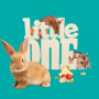 Little One Fruit Mix | 180 g | Aliment complémentaire pour rongeurs et Lapins Nains | avec des Fruits séchés comme la Banane, l'