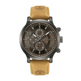 Montre Homme Timberland TDWGF0055703