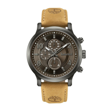 Montre Homme Timberland TDWGF0055703