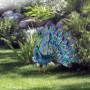 Erpmlyo 1 PCS Métallique Paon Statue Jardin Extérieur, Patio, Terrasse, Porche-Cour Art Décoration Métal