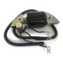 Borimend Bobine D'Allumage de Moto pour G150 G200 G300 G400 30500-887- 30560-883-015