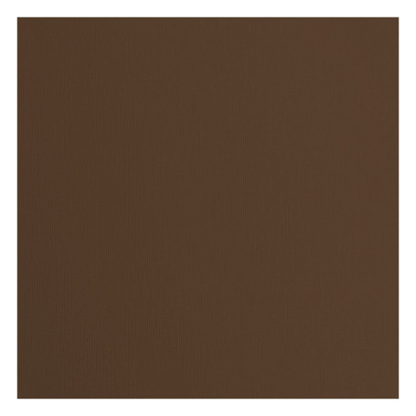 vaessen creative Florence Papier Cartonné, Brun (Noisette), 216g, Carré, 30,5 x 30,5 cm, 20 Feuilles, Surface Texturée, pour Pei