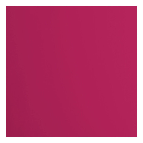 Florence Papier Cartonné Rose Lisse - 30,5 x 30,5 cm - Blackberry - 20 feuilles - 216 g/m² - Papier pour Scrapbooking, Carterie,