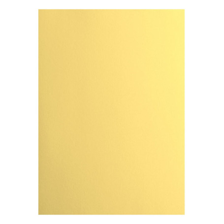 vaessen creative Florence Papier Cartonné, Jaune (Asperge), 216g, 10 Feuilles, Surface Lisse, pour Peindre, Scrapbooking et plus