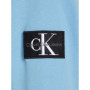 Calvin Klein Jeans Homme Sweat à Capuche Badge avec Capuche, Bleu (Dusk Blue), XXS