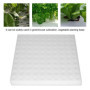Éponge Hydroponique - 100 Pièces pour Plantation dans Un Outil de Jardinage à Effet de Serre - Semis pour la Culture de Petits B