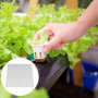 Éponge Hydroponique - 100 Pièces pour Plantation dans Un Outil de Jardinage à Effet de Serre - Semis pour la Culture de Petits B