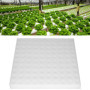 Éponge Hydroponique - 100 Pièces pour Plantation dans Un Outil de Jardinage à Effet de Serre - Semis pour la Culture de Petits B