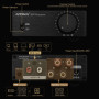 Mise à Niveau AIYIMA A07 Premium TPA3255 Mini amplificateur de Puissance 4 Ohm 300 W x 2 HiFi Classe D Amplificateur intégré Amp