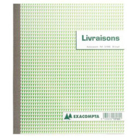 Lot de 10 Manifold Livraisons, 21x18 50 dupli autocopiant