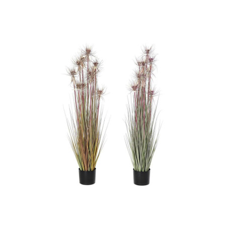Plante Décorative Marron et Vert en PVC - DKD Home Decor (Lot de 2)