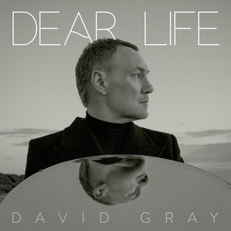 David Gray - Dear Life (Album CD) 19,21 €