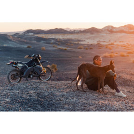 Black Dog - Film Blu-ray avec Sous-titres Français 22,83 €