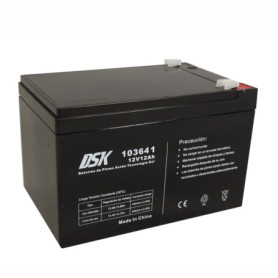 Batterie AGM 12V 12Ah DSK pour véhicules électriques et systèmes de sécurité