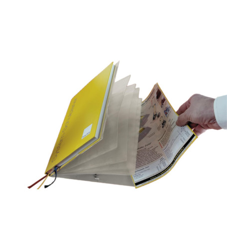 Porte-documents A4 Plus Transparent TimeTEX - Trieur à Soufflets pour Agenda Scolaire