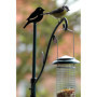 Support de Balcon Dobar pour Nourrissage des Oiseaux en Métal Vert