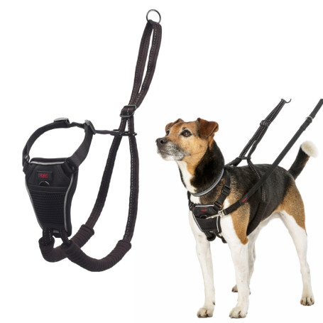 Harnais Anti-Traction Halti XS - Contrôle et Confort pour Chiens