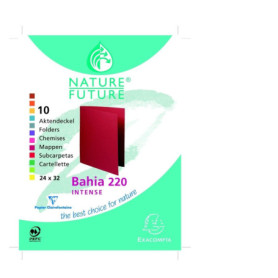 Paquet de 10 Chemises Rigides ROCK'S Exacompta - Couleurs Vives A4