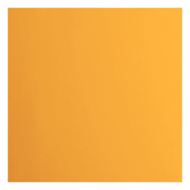 Papier Cartonné Orange Florence Vaessen Creative - 20 Feuilles 30,5 x 30,5 cm
