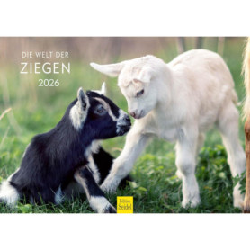 Calendrier Mural 2026 Edition Seidel - Chèvres en Prairies et Montagnes