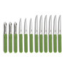 Set de 12 Couteaux de Cuisine Pradel Essentiel Energy - Acier Inoxydable Vert