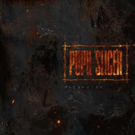 Pupil Slicer - Fleshwork : L'Essence du Mathcore Londonien