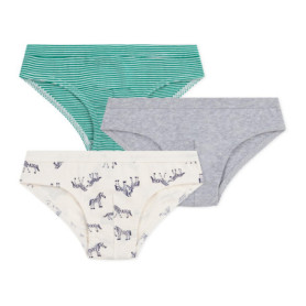 Lot de 3 Slips Enfant en Coton Imprimé Zèbres - Petit Bateau 205,81 €