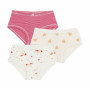 Lot de 3 Culottes Fille Petit Bateau - Confort et Élégance Multicolore