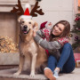 Bandeau de Noël pour Chien et Chat avec Bois de Renne