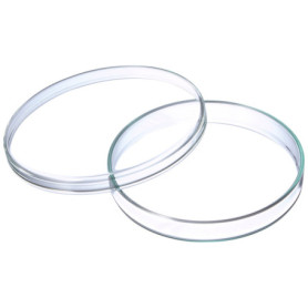 Boîtes de Petri en Verre Transparent - Lot de 5 - 100 mm x 15 mm 25,27 €