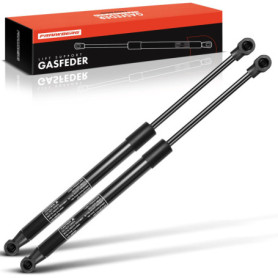 Ressorts à Gaz Hayon Frankberg pour Laguna III Grandtour 2007-2015 - Lot de 2