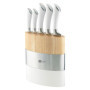 Bloc de 5 Couteaux de Cuisine en Acier Inoxydable - Richardson Sheffield