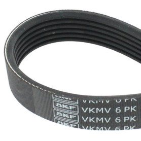Courroie Poly-V SKF VKMV 6PK1031 pour Accessoires de Véhicules