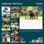 Calendrier Deluxe Staffordshire Bull Terrier 2025